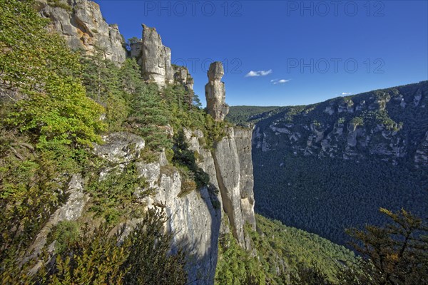 Le Rozier, Lozère