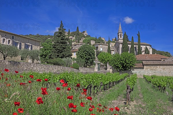 La Roque-sur-Cèze, Gard