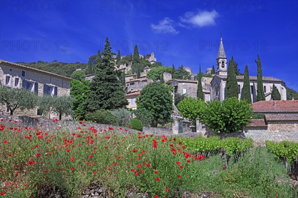 La Roque-sur-Cèze, Gard