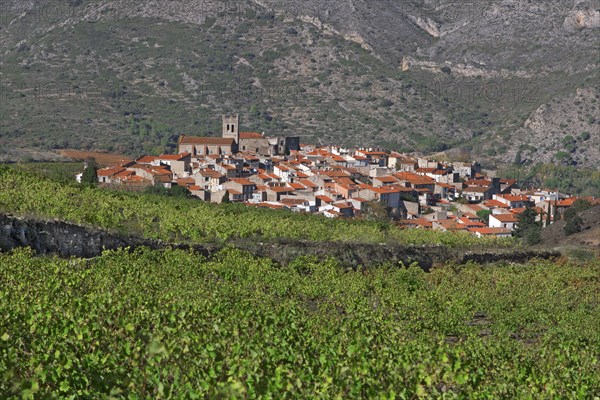 Latour-de-France, Pyrénées-Orientales