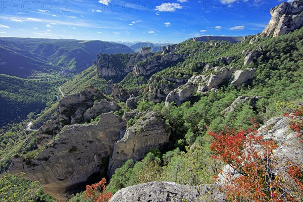 Le Rozier, Aveyron