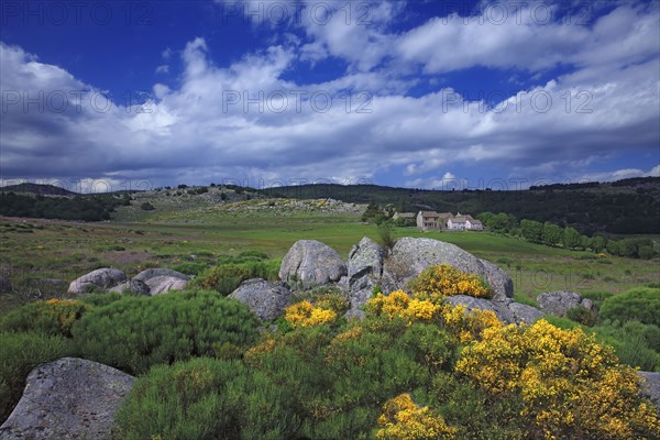 Pont de Montvert, Lozère