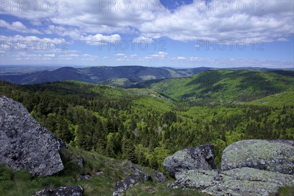 Alzon, Lingas Mountain, Gard