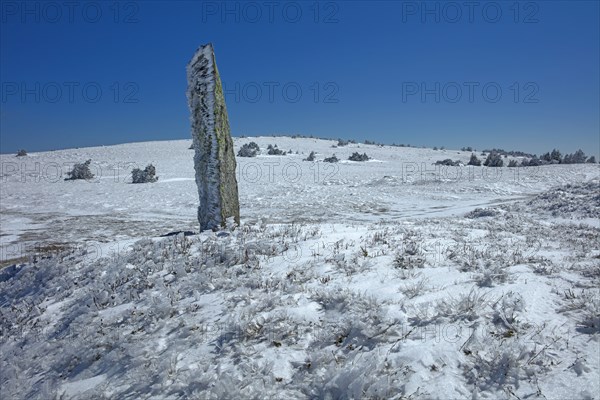 Le mont Lozère en Lozère