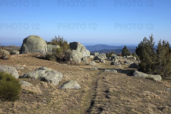 Mont-Lozère, Lozère