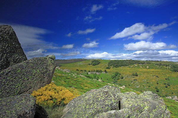 Vialas, Lozère