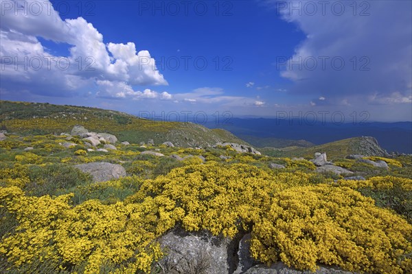 Vialas, Lozère