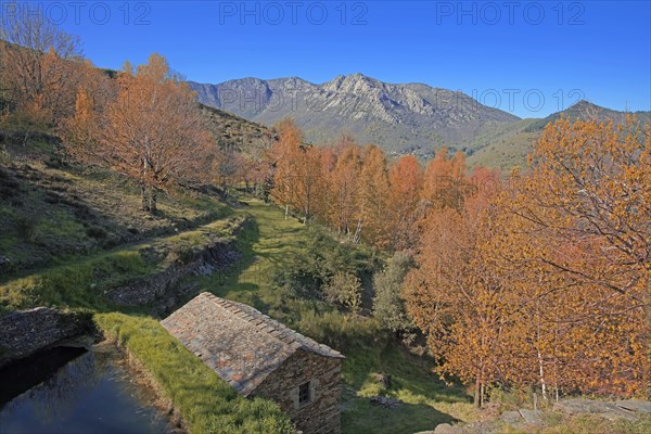 Vialas, Lozère