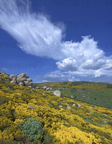 Vialas, Lozère