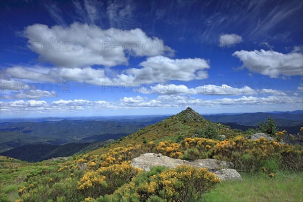 Vialas, Lozère