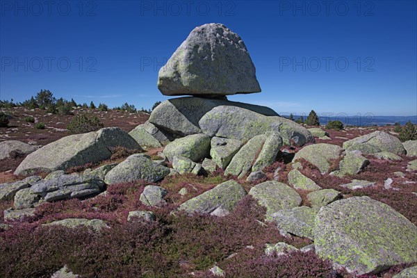 Paysage du Mont Lozère