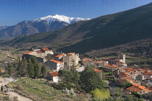 Mosset, Pyrénées-Orientales