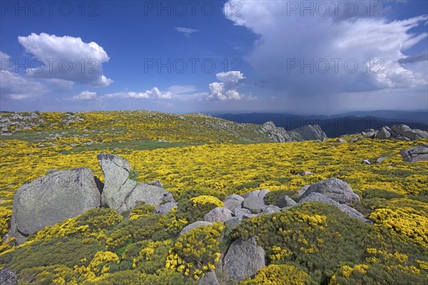 Vialas, Lozère