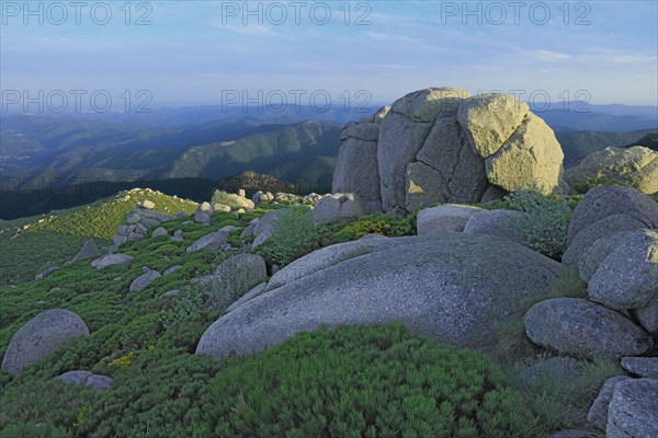 Massif du mont Lozère, Lozère