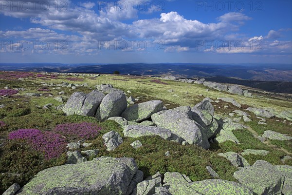 Mont-Lozère, Lozère