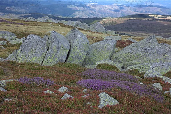 Mont-Lozère, Lozère