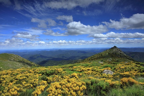 Vialas, Lozère