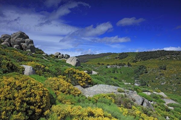 Vialas, Lozère