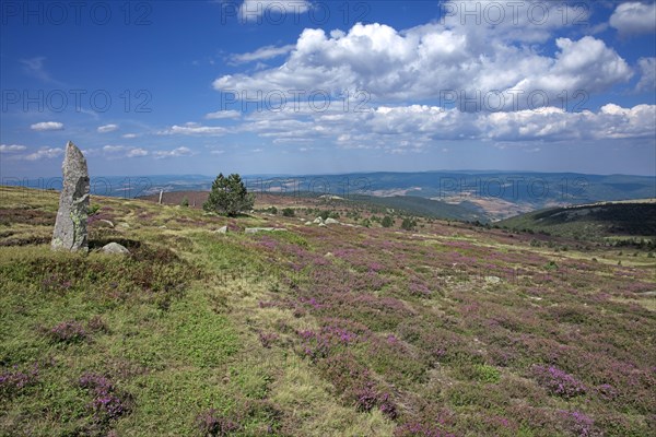 Mont Lozère, Lozère