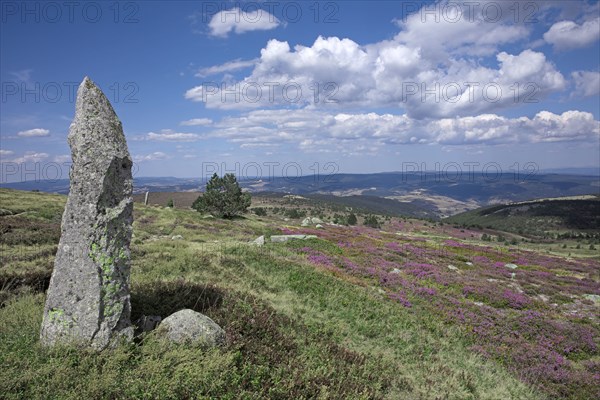 Mont Lozère, Lozère