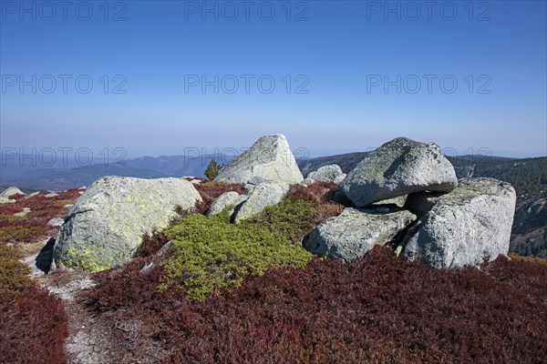 Mont-Lozère, Lozère