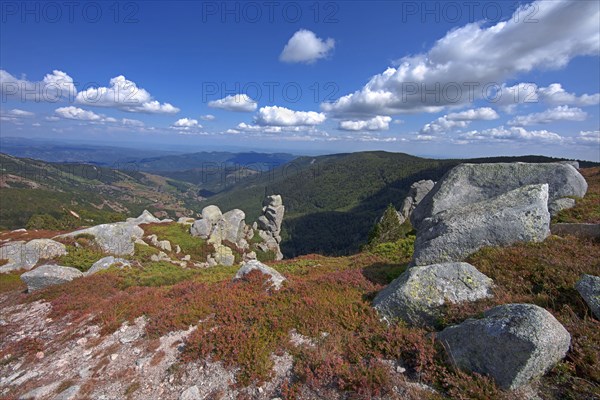 Génolhac, Gard