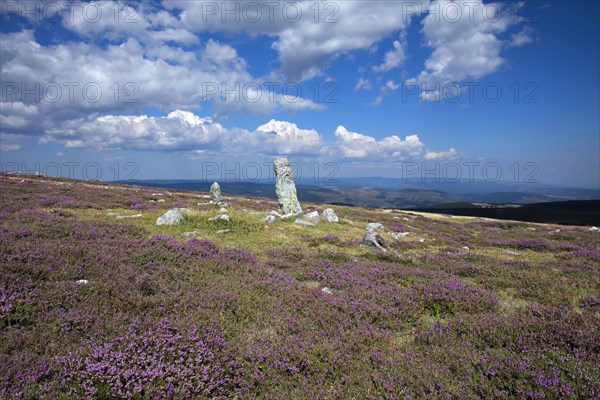 Mont Lozère, Lozère