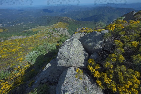 Vialas, Lozère