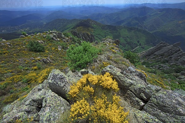 Vialas, Lozère