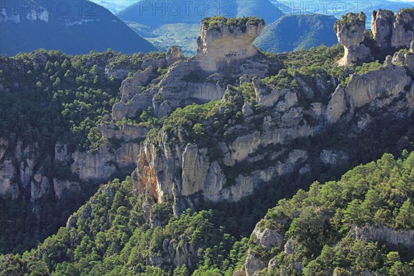 Le Rosier, Aveyron