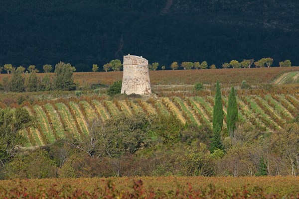 Paysage des Corbières, Aude