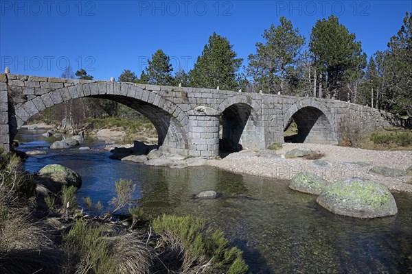 Mont-Lozère, Lozère