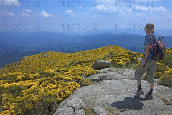 Flowery landscape of the Gard