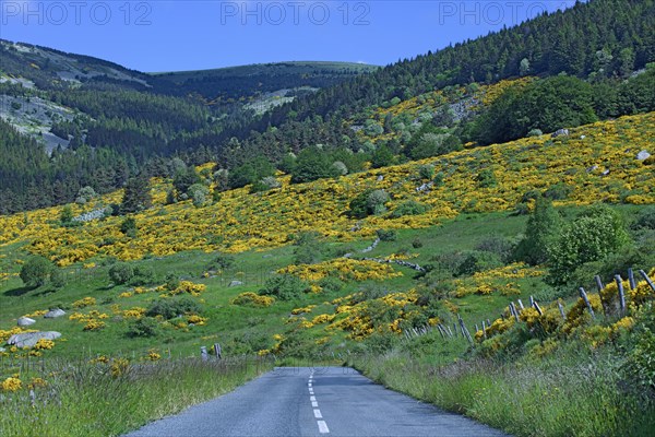 Pont-de-Montvert, Lozère