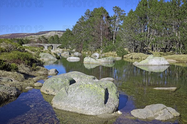 Mont-Lozère, Lozère