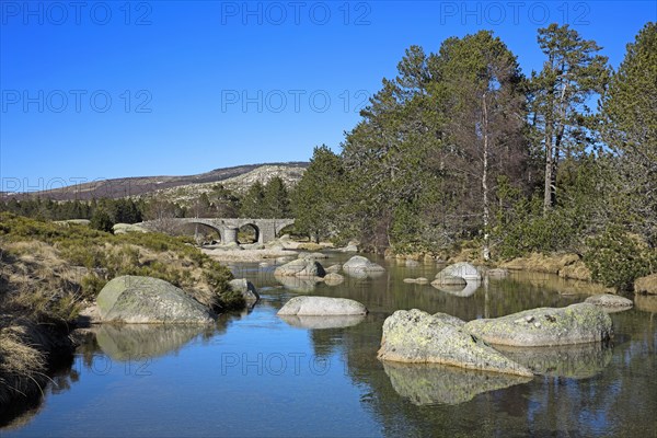 Mont-Lozère, Lozère