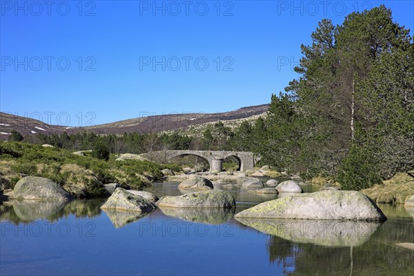 Mont-Lozère, Lozère