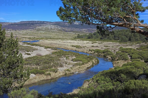 Mont Lozère, Lozère