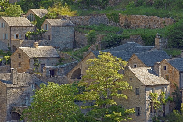 Gorges du Tarn, Lozère