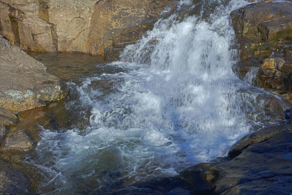 Mont Lozère, Lozère