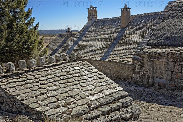 Mont-Lozère, Lozère