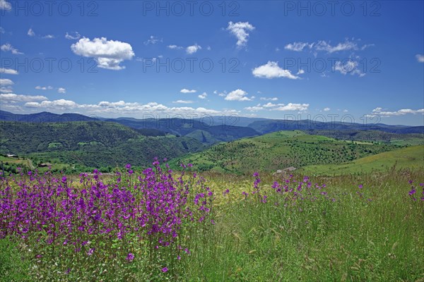 Florac, Lozère