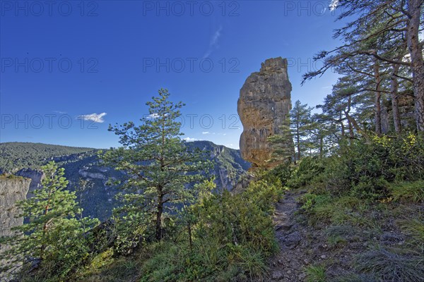 Le Rosier, Aveyron