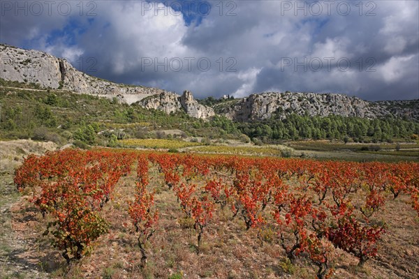 Vingrau, Pyrénées-Orientales