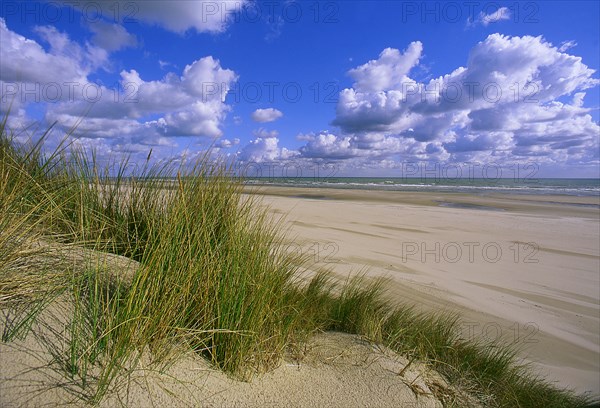 Bay of the Somme coastline