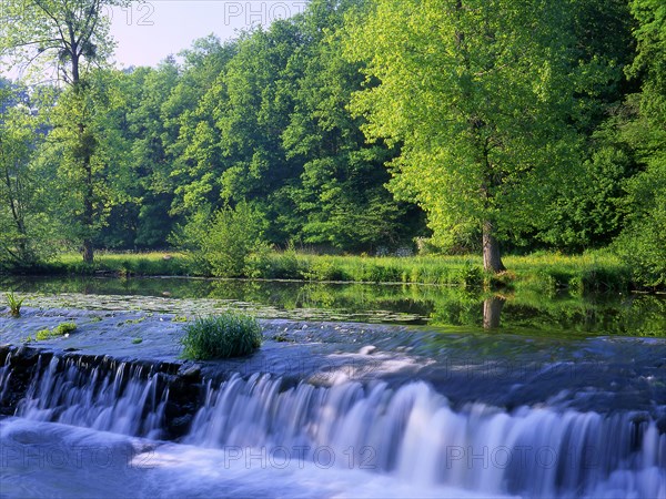 Rivière la Sarthe, Orne