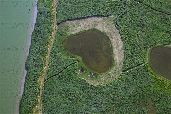 Heart-shaped pond in the Orne
