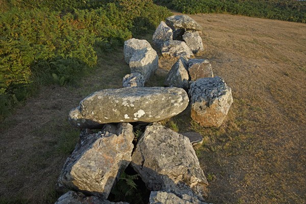 Jobourg, site mégalithique, Manche