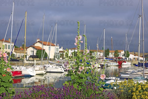 Ars-en-Ré, Charente-Maritime