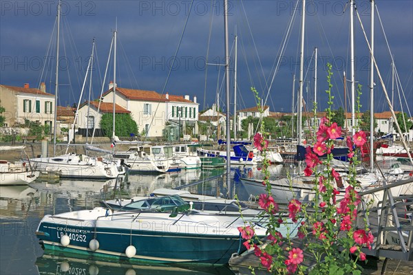 Ars-en-Ré, Charente-Maritime